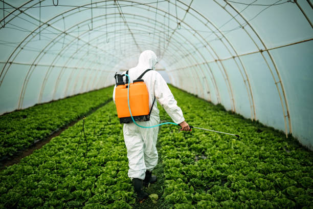 Best Pest Control for Homes  in Happy Valley, OR
