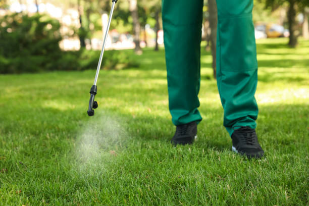 Best Flea Control Services  in Happy Valley, OR