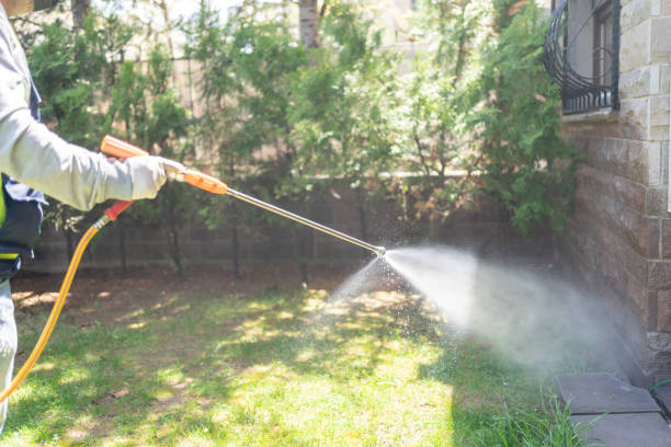 Flea Control Services in Happy Valley, OR