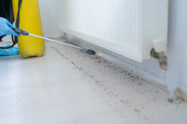 Best Rat Extermination Near Me  in Happy Valley, OR