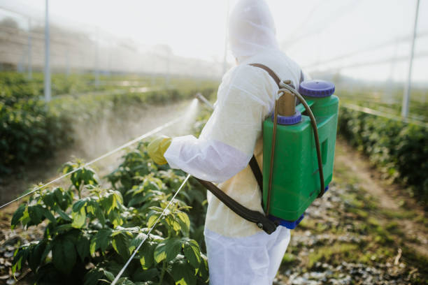 Best Emergency Pest Control  in Happy Valley, OR